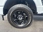2023 Ford F-250 Regular Cab 4x4 Pickup for sale #NT7272A - photo 20