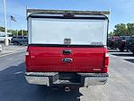 2015 Ford F-250 Regular Cab 4x2 Pickup for sale #NT7429A - photo 8