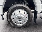 2025 Ford F-450 Crew Cab DRW 4x4 Pickup for sale #UT15192 - photo 9
