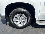 Used 2024 Chevrolet Silverado 1500 Work Truck Regular Cab Pickup for sale #UT15312 - photo 27