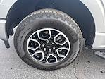 2023 Ford F-150 SuperCrew Cab 4WD Pickup for sale #UT15555 - photo 21
