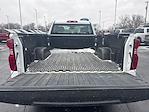 2024 Chevrolet Silverado 1500 Regular Cab RWD Pickup for sale #UT15681 - photo 11