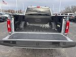2023 Ford F-150 SuperCrew Cab 4WD Pickup for sale #UT15733 - photo 13