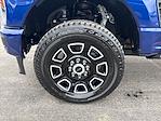 Used 2026 Ford F-250 Platinum Crew Cab for sale #UT15825 - photo 26