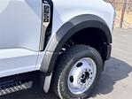 2025 Ford F-550 Regular Cab DRW 4x4 Cab Chassis for sale #SDA03292CT - photo 14