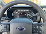 New 2025 Ford F-550 Regular Cab Cab Chassis for sale #SDA03293CT - photo 24