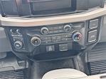 2025 Ford F-550 Regular Cab DRW 4x4 Cab Chassis for sale #SDA03386CT - photo 19