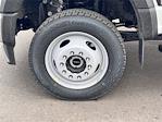 2025 Ford F-550 Regular Cab DRW 4x4 Cab Chassis for sale #SDA03451CT - photo 12