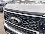 2025 Ford F-350 Crew Cab SRW 4x4 Pickup for sale #SEC25693CT - photo 4