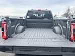2025 Ford F-350 Crew Cab SRW 4x4 Pickup for sale #SEC25693CT - photo 6