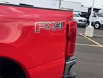 2025 Ford F-350 Regular Cab SRW 4x4 Pickup for sale #SED19295CT - photo 10