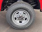 2025 Ford F-350 Regular Cab SRW 4x4 Pickup for sale #SED19295CT - photo 11