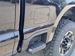 New 2025 Ford F-350 Platinum Crew Cab 4x4 SRW Pickup for sale #SED58024 - photo 9