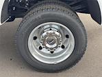 2025 Ford F-450 Regular Cab DRW 4x4 Pickup for sale #SED61717 - photo 12