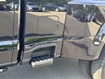 2025 Ford F-450 Crew Cab DRW 4x4 Pickup for sale #SED75576 - photo 10