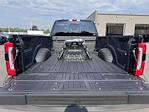 2025 Ford F-450 Crew Cab DRW 4x4 Pickup for sale #SED75576 - photo 14