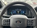 2025 Ford F-150 SuperCrew Cab 4x4 Pickup for sale #SFA09021 - photo 20