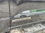 2025 Ford F-150 SuperCrew Cab 4x4 Pickup for sale #SFA33695 - photo 6