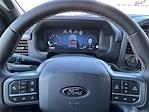 2025 Ford F-150 SuperCrew Cab 4x4 Pickup for sale #SFA34333 - photo 21