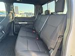 New 2025 Ford F-150 XLT SuperCrew Cab 4WD Pickup for sale #SFA44144 - photo 14