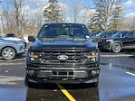 2025 Ford F-150 SuperCrew Cab 4x4 Pickup for sale #SFA45104 - photo 3