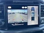 New 2025 Ford F-150 XLT SuperCrew Cab 4WD Pickup for sale #SFA46682 - photo 18