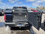 2025 Ford F-150 SuperCrew Cab 4x4 Pickup for sale #SFA51382 - photo 6