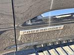 2025 Ford F-150 SuperCrew Cab 4x4 Pickup for sale #SFA52880 - photo 6