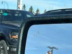 2025 Ford F-150 SuperCrew Cab 4x4 Pickup for sale #SFA53134 - photo 9