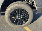 New 2025 Ford F-150 XLT SuperCrew Cab 4WD Pickup for sale #SFA54152 - photo 6