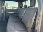 New 2025 Ford F-150 XLT SuperCrew Cab 4WD Pickup for sale #SFA54152 - photo 14