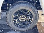 2025 Ford F-150 SuperCrew Cab 4x4 Pickup for sale #SFA54249 - photo 10