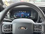 2025 Ford F-150 SuperCrew Cab 4x4 Pickup for sale #SFA65383 - photo 24