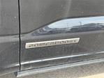 New 2025 Ford F-150 Platinum SuperCrew Cab 4x4 Pickup for sale #SFA65449 - photo 6