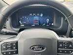 2025 Ford F-150 SuperCrew Cab 4x4 Pickup for sale #SFA79879 - photo 21