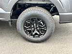 2025 Ford F-150 SuperCrew Cab 4x4 Pickup for sale #SFA80846 - photo 9