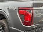 New 2025 Ford F-150 XLT SuperCrew Cab 4WD Pickup for sale #SFA88538 - photo 7