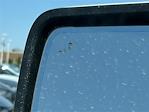 2025 Ford F-150 SuperCrew Cab 4x4 Pickup for sale #SFB04689 - photo 9