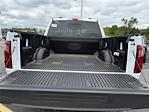 2025 Ford F-150 SuperCrew Cab 4x4 Pickup for sale #SFB07933 - photo 5