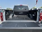 New 2025 Ford F-150 XLT SuperCrew Cab 4x4 Pickup for sale #SFB15972 - photo 5