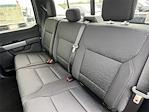 New 2025 Ford F-150 XLT SuperCrew Cab 4x4 Pickup for sale #SFB16854 - photo 13