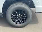 New 2025 Ford F-150 XLT SuperCrew Cab 4x4 Pickup for sale #SFB77482 - photo 8
