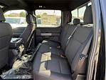 New 2025 Ford F-150 XLT SuperCrew Cab 4WD Pickup for sale #SFB90924 - photo 14