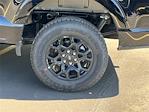 New 2025 Ford F-150 XLT SuperCrew Cab 4WD Pickup for sale #SFB94847 - photo 6