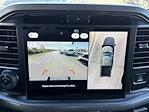 New 2025 Ford F-150 XLT SuperCrew Cab 4WD Pickup for sale #SFC11339 - photo 17