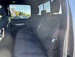 2025 Ford F-150 SuperCrew Cab 4WD Pickup for sale #SFC11506 - photo 14