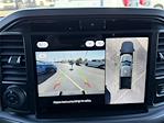 New 2025 Ford F-150 XLT SuperCrew Cab for sale #SFC11531 - photo 17
