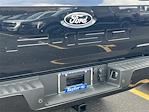 New 2025 Ford F-150 XLT SuperCrew Cab 4WD Pickup for sale #SFC11608 - photo 6