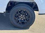 New 2025 Ford F-150 XLT SuperCrew Cab for sale #SFC11646 - photo 8