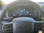 2025 Ford F-150 SuperCrew Cab 4WD Pickup for sale #SFC11864 - photo 21